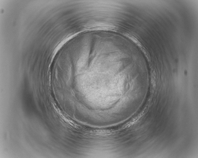 X0000052930933200507221118