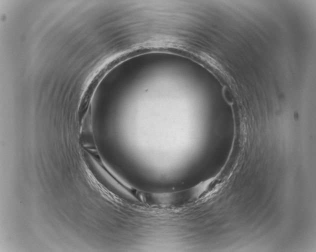 X0000052930934200507221118