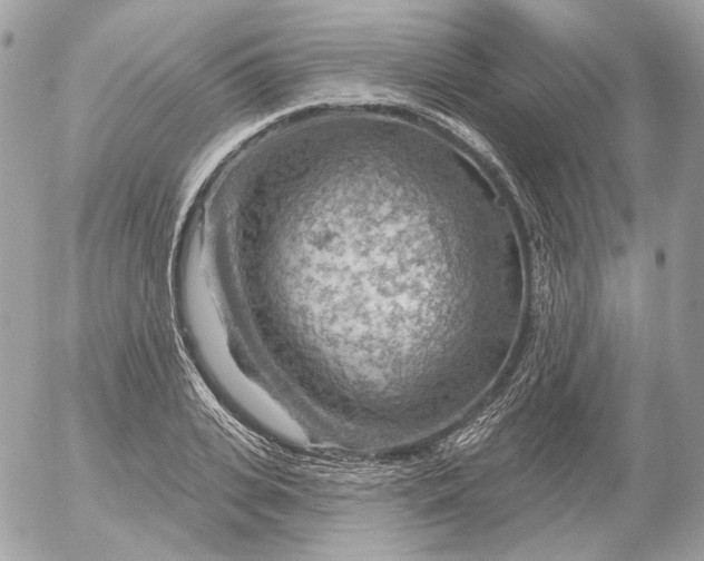 X0000052930935200507221118