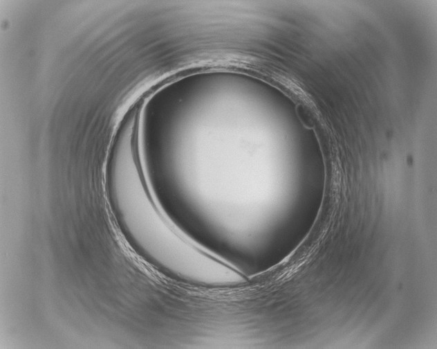 X0000052930936200507221118