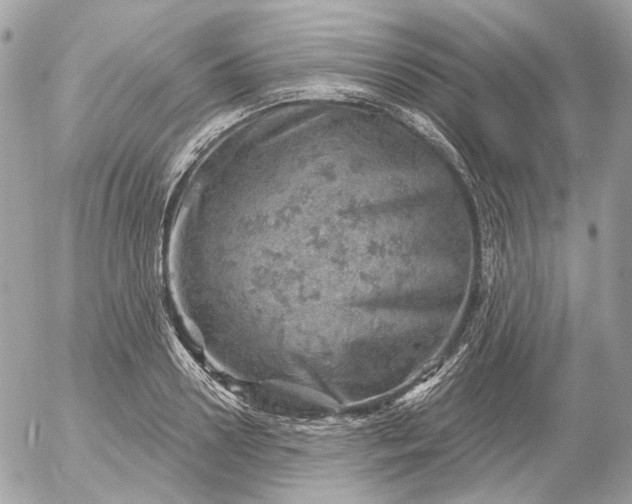 X0000052930938200507221118