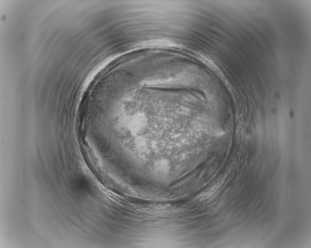 X0000052930939200507221118