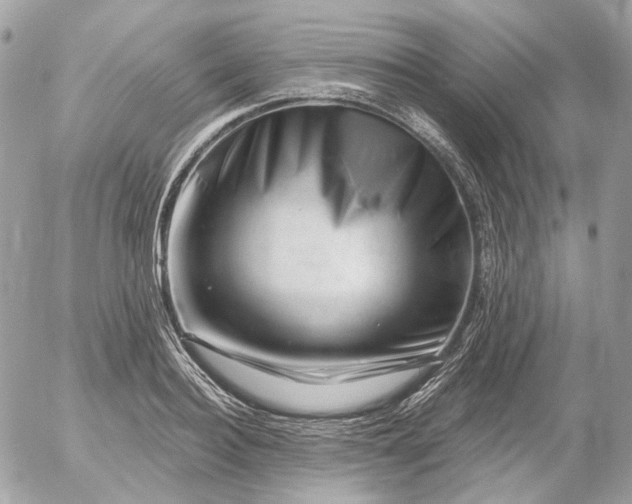 X0000052930940200507221118