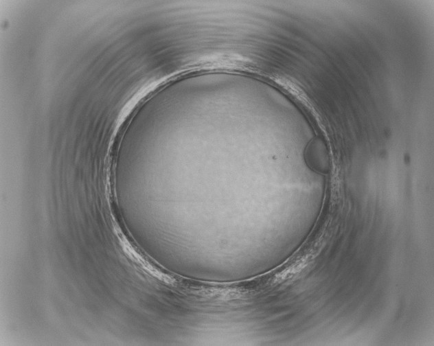 X0000052930941200507221118