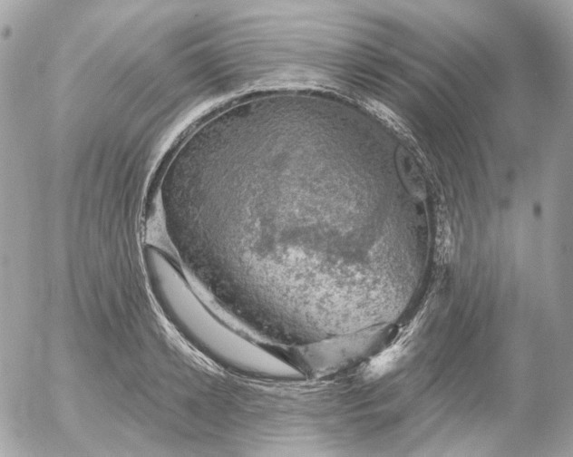 X0000052930942200507221118