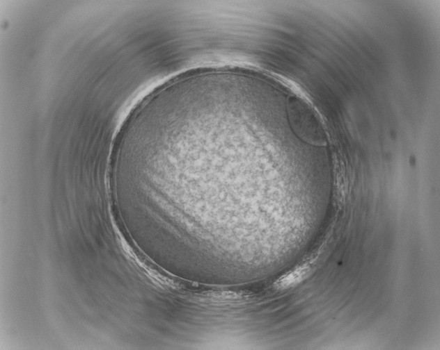 X0000052930943200507221118