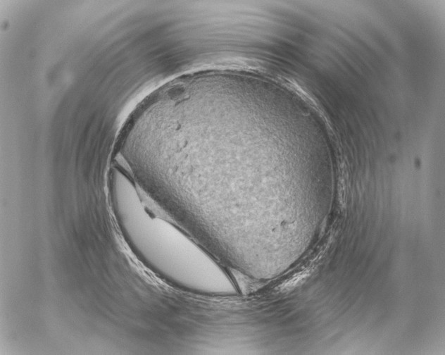 X0000052930944200507221118