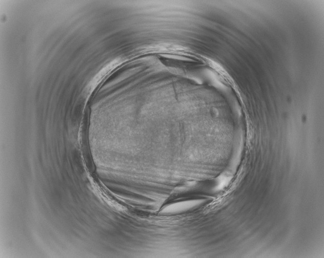 X0000052930946200507221118