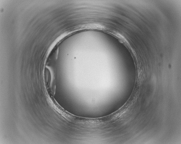 X0000052930947200507221118