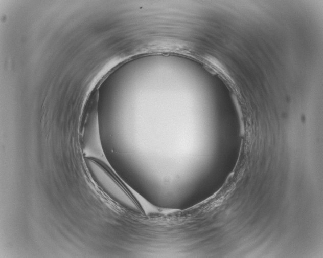 X0000052930948200507221118