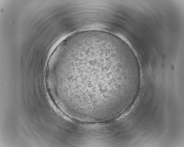 X0000052930949200507221118