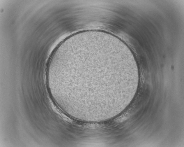 X0000052930950200507221118