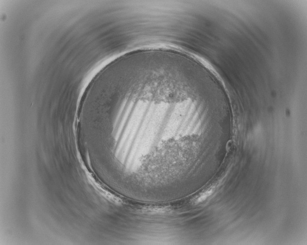 X0000052930951200507221118