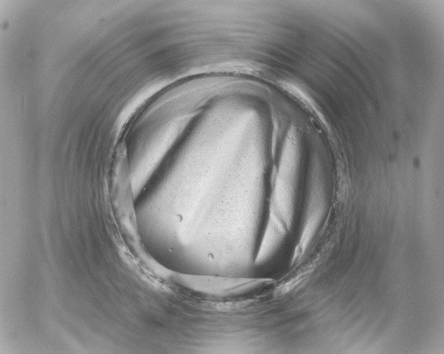 X0000052930952200507221118