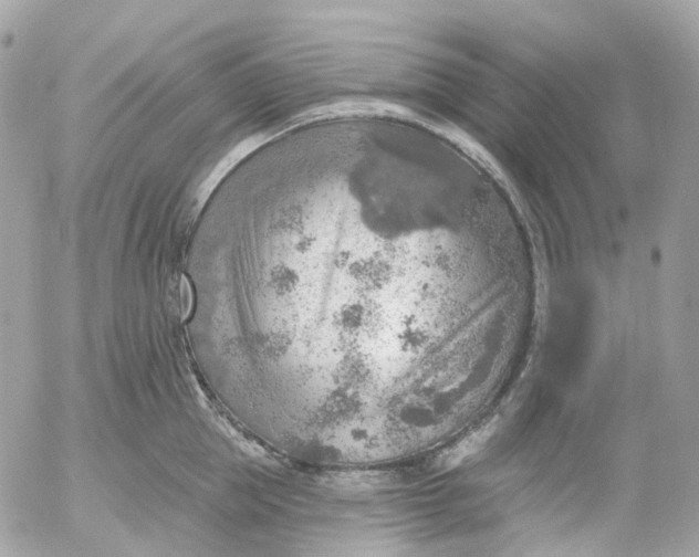 X0000052930953200507221118