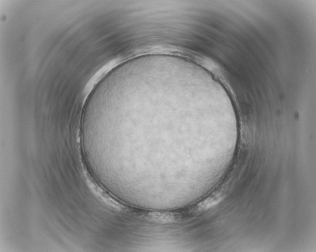 X0000052930954200507221118