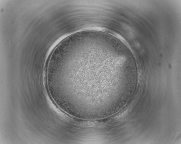 X0000052930955200507221118