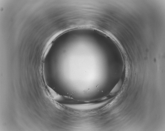 X0000052930956200507221118