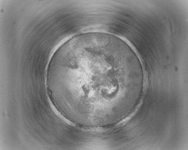 X0000052930957200507221118