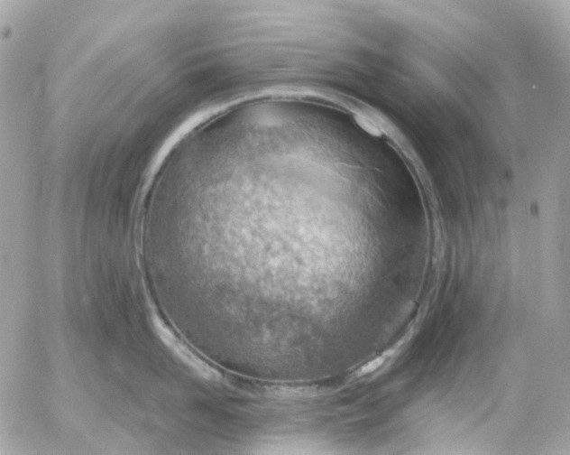 X0000052930958200507221118