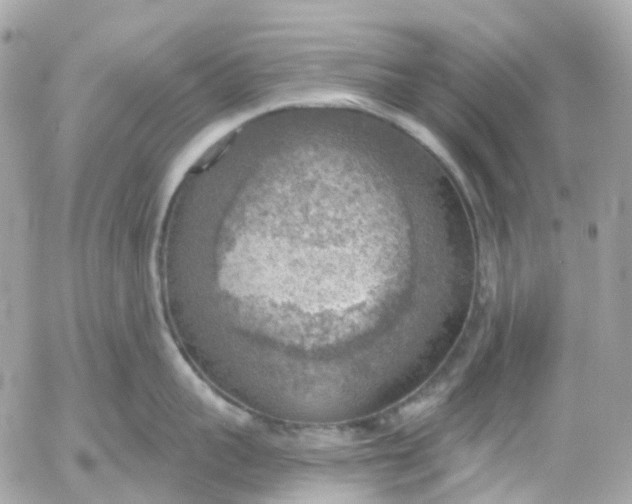 X0000052930959200507221118