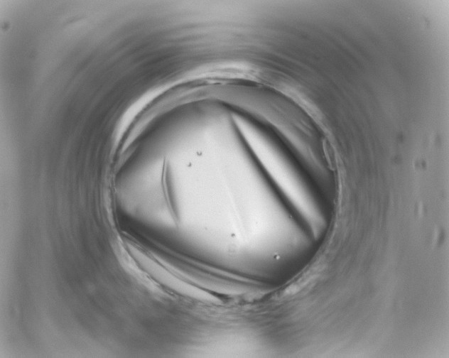 X0000052930960200507221118