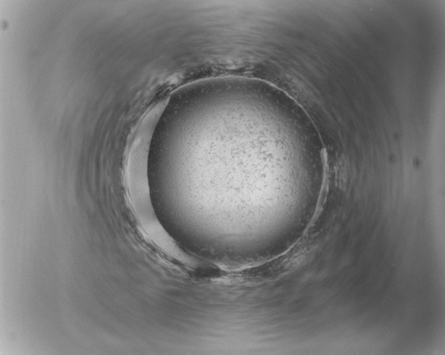 X0000052930961200507221117