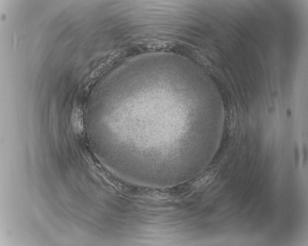 X0000052930962200507221117