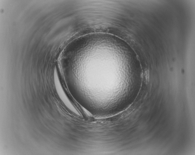 X0000052930963200507221117