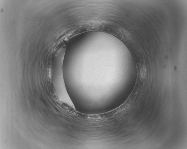 X0000052930964200507221117