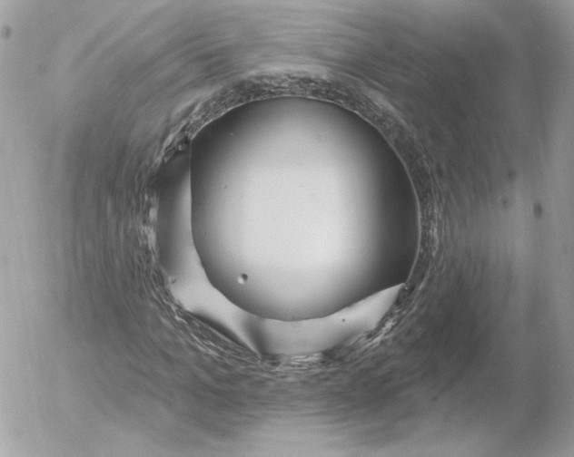 X0000052930965200507221117