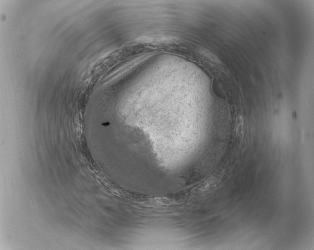 X0000052930966200507221117