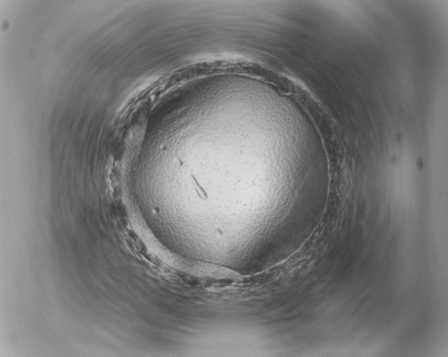 X0000052930967200507221117