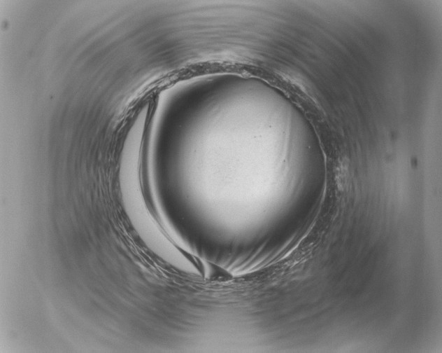 X0000052930968200507221117