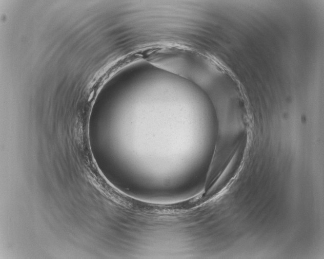 X0000052930969200507221117