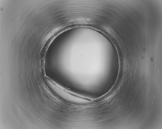 X0000052930970200507221117