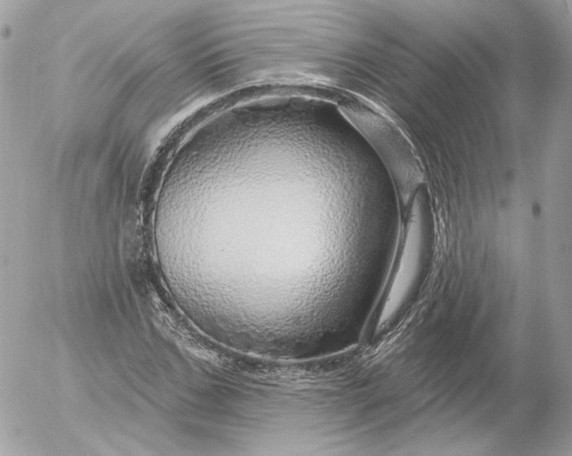 X0000052930971200507221117