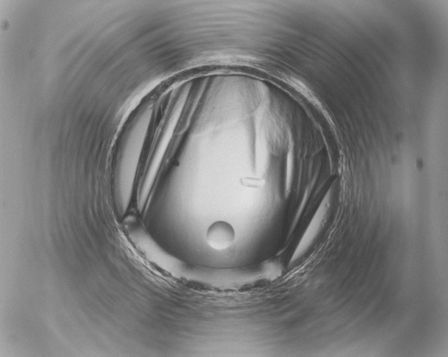 X0000052930972200507221117