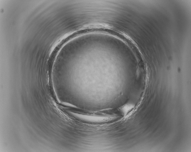 X0000052930973200507221117