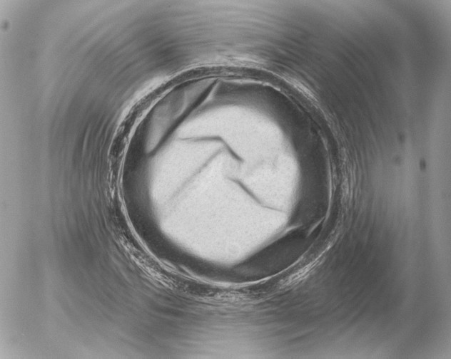 X0000052930974200507221117