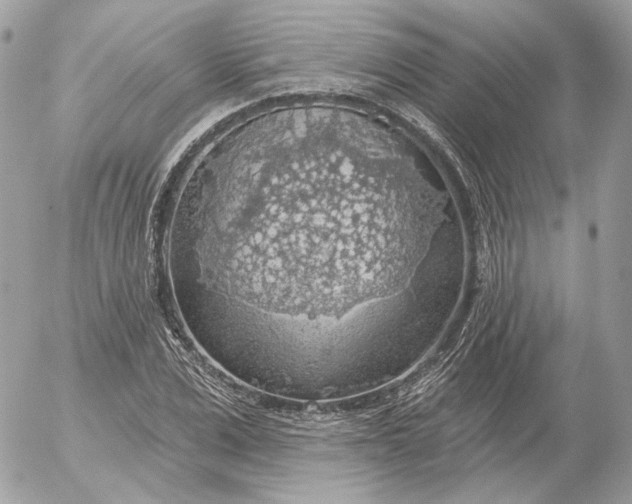 X0000052930975200507221117