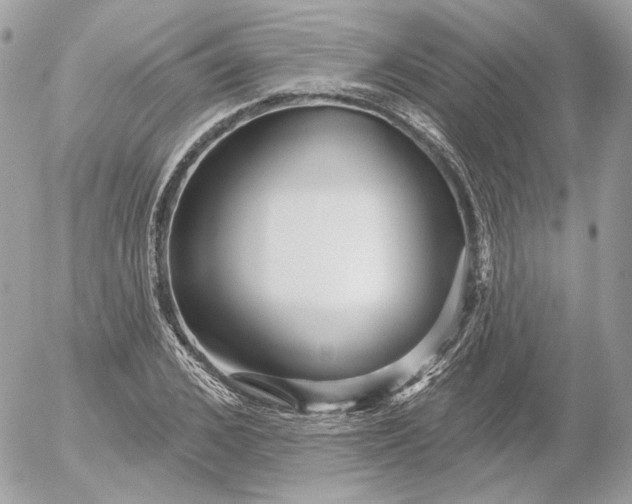 X0000052930976200507221117