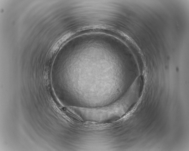 X0000052930977200507221117