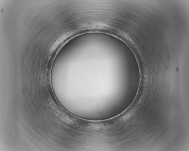 X0000052930978200507221117