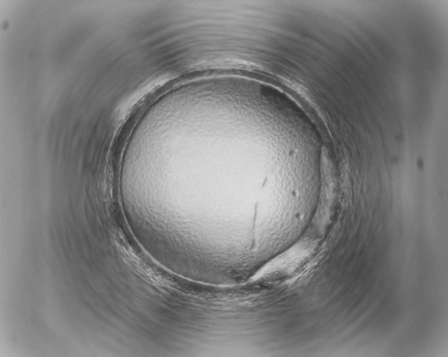 X0000052930979200507221117