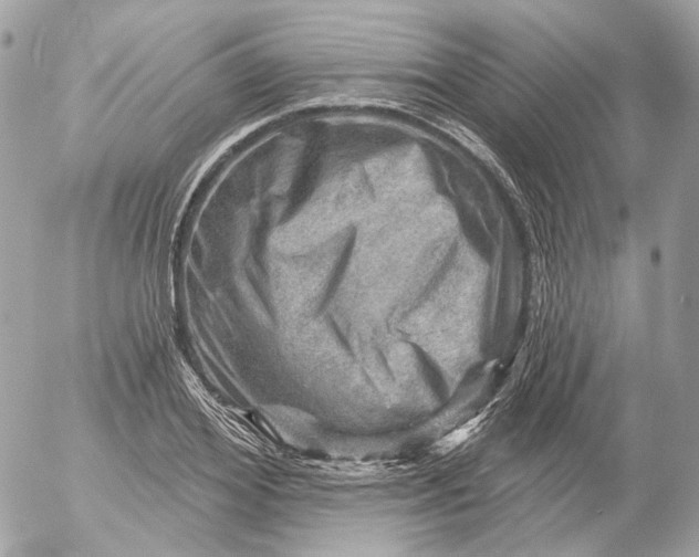 X0000052930980200507221117