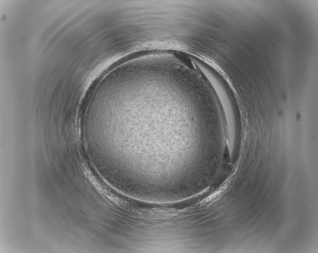 X0000052930981200507221117