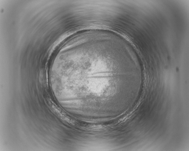 X0000052930982200507221117