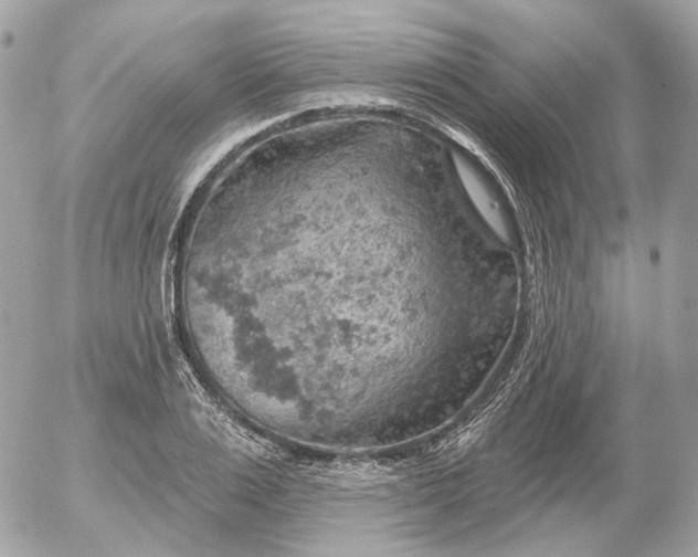 X0000052930983200507221117