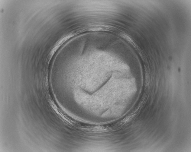 X0000052930986200507221117